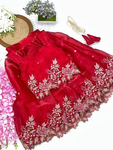 Innovative Jimmy-chu Beautiful Embroidery work Fabric Lahenga Choli